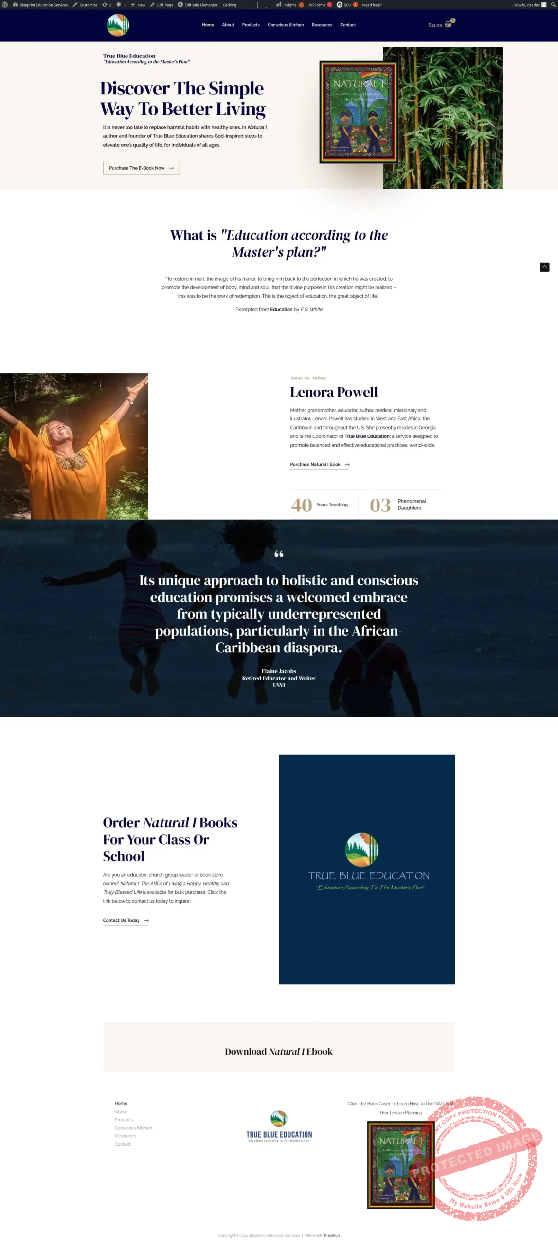 Blueprint Education Services